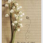 Nora Malik - Facebook