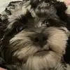 noramastascusa - @noramastascusa - TikTok