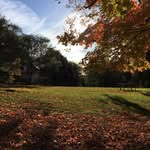 Nora McCabe - @nora_i_take_photos - Instagram