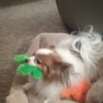 Nora McCartney - @noramcartneyo - Instagram