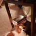 Nora Mccartney - Facebook