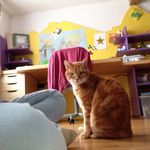 Nora Meyer - @norameyer7537 - Instagram