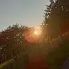 Nora Meyer - @nora.meyer7 - TikTok