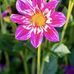 Nora Moore - Facebook