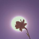 Nora - @nora_mott - Instagram