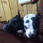 Nora Ogden - @njwinks72 - Instagram