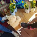 nora olson - @noraolson98 - Instagram
