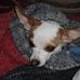 Leonora Pepper - Facebook