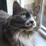 Nora Peterson - @norakaypeterson - Instagram