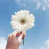 Norapham - @nora.lee2200 - TikTok