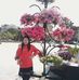 Nora Pittman - Facebook