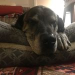 Nora Powell - @norapowell6656 - Instagram