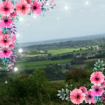 Nora Sheehy Pugh - @nora.s.pugh - Instagram