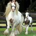 Nora Ramey - Facebook