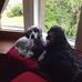 Nora Ritchie - Facebook