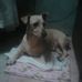 Nora Rueda - Facebook