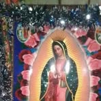 Nora Salgado - Facebook
