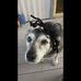 Nora Shank - Facebook