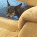 Nora Shank - Facebook