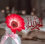 Nora Shukry - Facebook