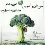 Nora Soliman - @soliman375 - Instagram