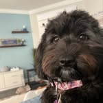 nora sparks - @nora_nugget_sparks - Instagram