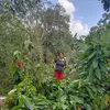 norasubia5 - @norasubia5 - TikTok