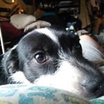Nora Sutherland - @norasutherland - Instagram