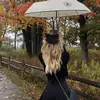 Nora_swan - @nora_swan.pwf - TikTok