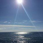 Nora Swanson - @noraswansonphoto - Instagram