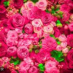 Nora Swanson - @noraqueen43210 - Instagram