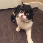 Nora Thomson - @msnorathomson - Instagram