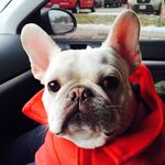 Nora thomson - @norat_ - Instagram
