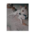 𝙉𝙤𝙧𝙖 ♥︎ 𝙏𝙤𝙢 - @nora_tom_ - Instagram