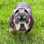 Tyson and Nora Montesinos - @tyson_n_nora - Instagram