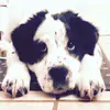 nora waters - @nora...a.waters - TikTok