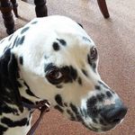 Annora Whitley - @annorawhitley - Instagram