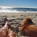 Nora Whitley - Facebook
