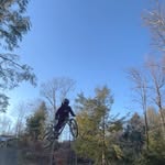 nora wilkinson - @nora3428fv - Instagram