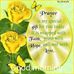 Norah S. Wilkinson - Facebook