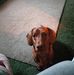 Nora Wolfe - Facebook