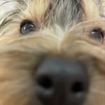 Nora_york - @__nora__york__ - Instagram