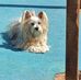 Norbert Braun - Facebook