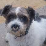 Norbert Ellis - @naughtynorbs - Instagram