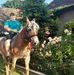 Norbert Gabor - Facebook