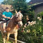 Norbert Gabor - @norborgabor - Instagram
