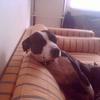 Norbert Gabor Tommy - @norbert.gabor.tom - TikTok