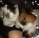 Norbert Geiger - Facebook