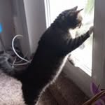 Norbert Hellmann - @hellmannnorbert - Instagram