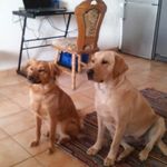 Jean Norbert Henry - @jeannorberthenry - Instagram